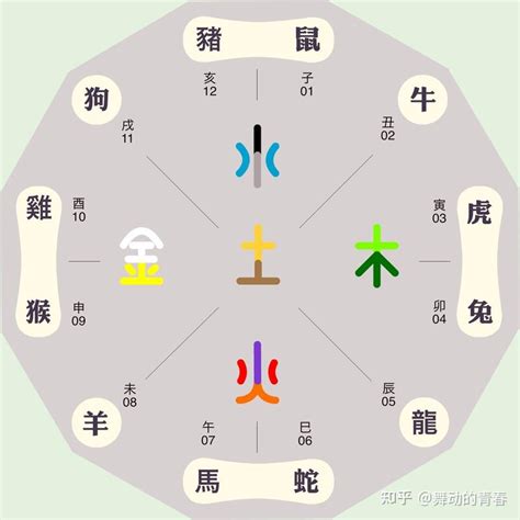 生肖馬五行|生肖屬馬人的五行與財運